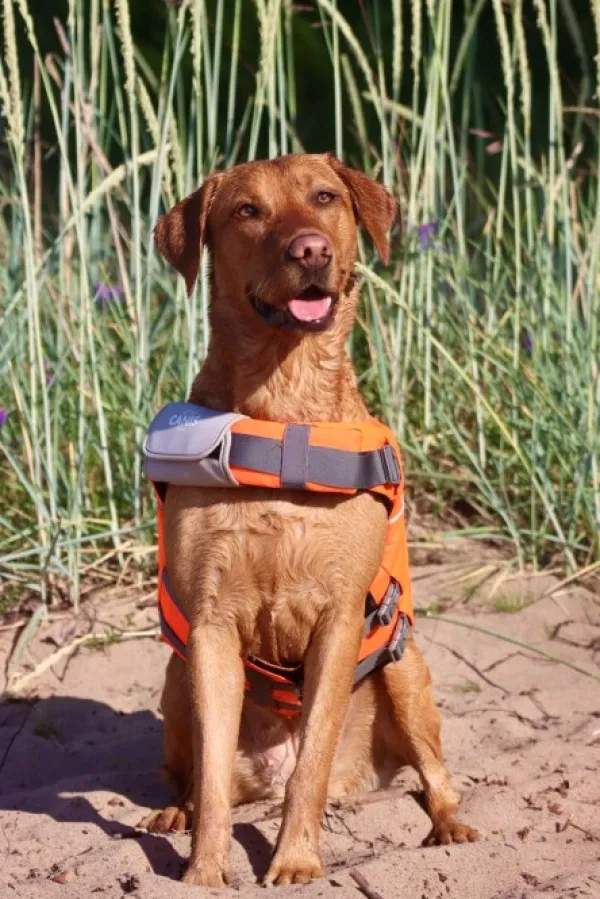 Active Canis koiran kelluntaliivi, XL-XXL| Koiran Pelastusliivit