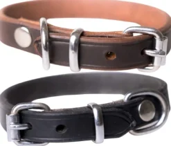 Active Canis Kaulapannat^Leather Collar koiran nahkapanta, 55 - 60 cm