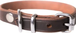 Active Canis Kaulapannat^Leather Collar koiran nahkapanta, 55 - 60 cm