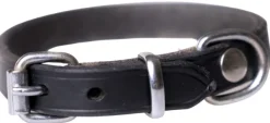 Active Canis Kaulapannat^Leather Collar koiran nahkapanta, 55 - 60 cm