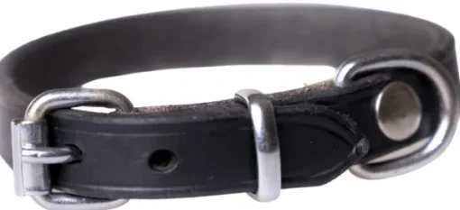 Active Canis Kaulapannat^Leather Collar koiran nahkapanta, 55 - 60 cm