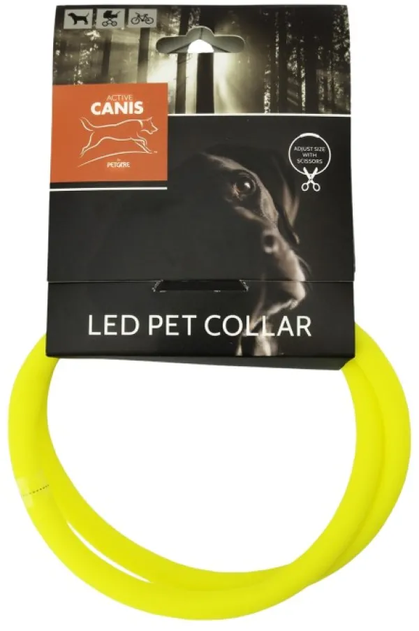 Active Canis USB Led Collar koiran heijastinpanta, Yellow| Vilkkuvalot Ja Huomiotuotteet
