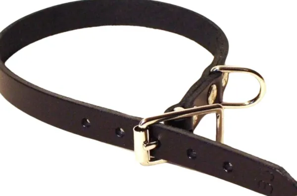 Alac nahkapanta, 22mmx60cm, musta| Kaulapannat