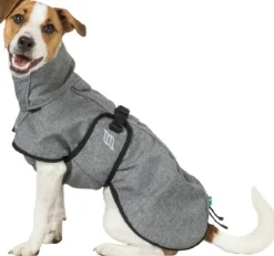 Back on Track Sadetakit^Bark koiran takki, 40-50 cm, Grey