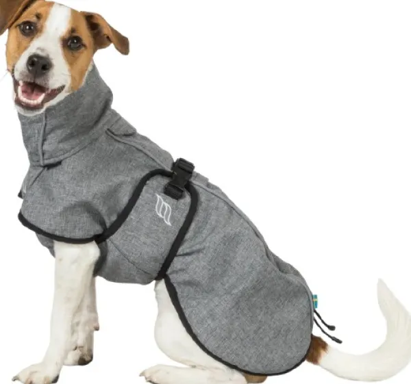 Back on Track Sadetakit^Bark koiran takki, 40-50 cm, Grey