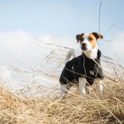 Back on Track Bark koiran takki, 25-35 cm, Black| Sadetakit