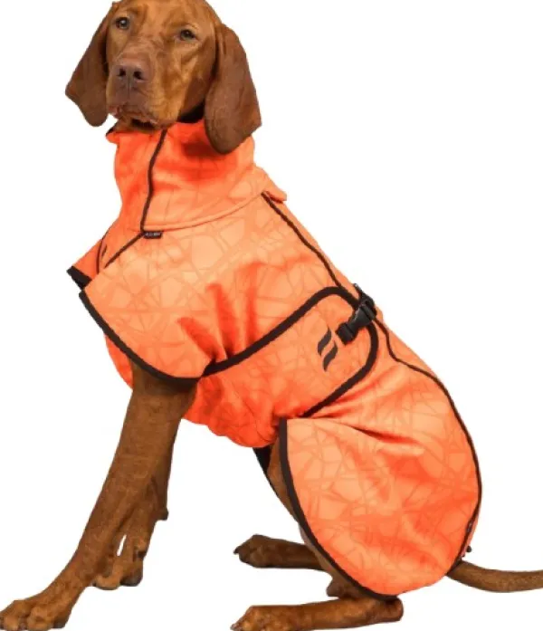 Back on Track Sadetakit^Bark koiran takki, 40-50 cm, Orange