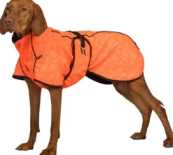 Back on Track Sadetakit^Bark koiran takki, 40-50 cm, Orange