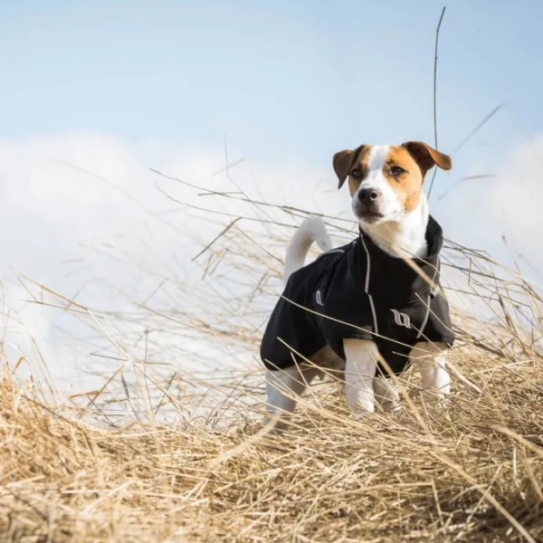 Back on Track Sadetakit^Bark koiran takki, 40-50 cm, Black