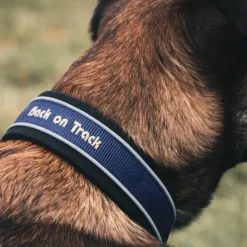 Back on Track Kaulapannat^Charlie kaulapanta, sininen 40-50 cm