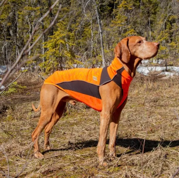 Back on Track Fleecetakit^Eddie koiran fleecepaita, oranssi 60-70 cm