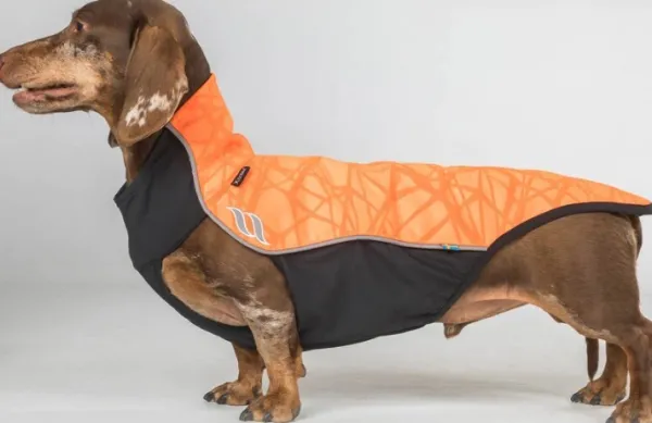 Back on Track Fleecetakit^Eddie koiran fleecepaita, oranssi 30-35 cm