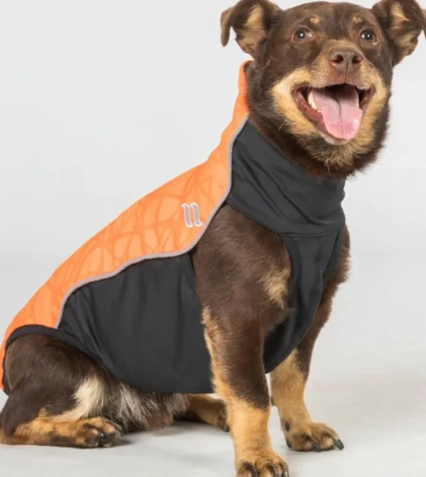 Back on Track Eddie koiran fleecepaita, oranssi 40 cm| Fleecetakit