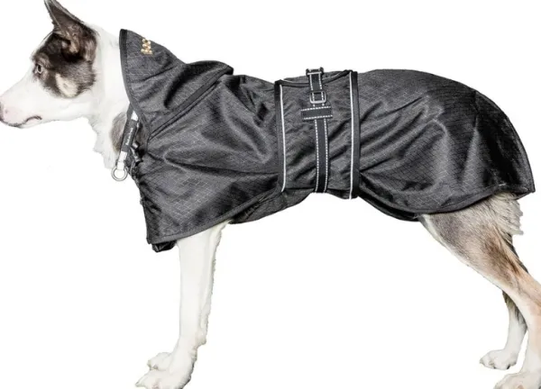 Back on Track koiran jokasääntakki, musta 43-59 cm| Sadetakit