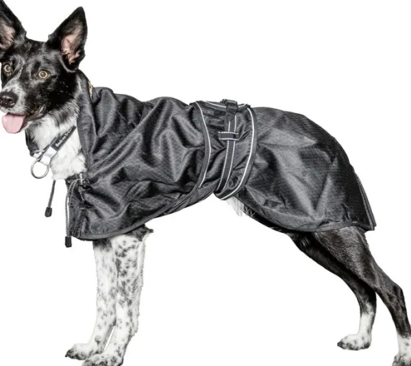 Back on Track Sadetakit^koiran jokasääntakki, musta 27-40 cm