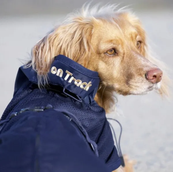 Back on Track Outlet - Koiralle^koiran verkkotakki, sininen 27-40 cm