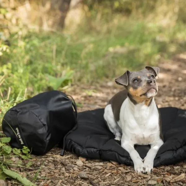 Back on Track Koiranpedit^ovaali koiran matkapeti, musta 80 x 100 cm