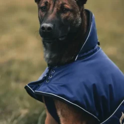 Back on Track Talvitakit^Sunny koiran takki, sininen 40-50 cm
