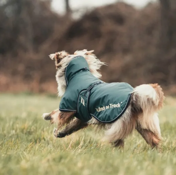 Back on Track Sunny koiran takki, vihreä 40-50 cm| Talvitakit