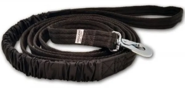 Baggen Joustava Hihna 25mm - 2m| Juoksu- Ja Pyöräilytaluttimet