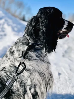 Baggen Taluttimet^Koppel Twistlock talutushihna, 1,9m, harmaa