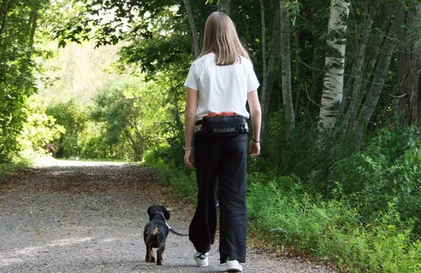 Baggen Koiranomistajan Tarvikkeet^Nova Softbelt vyölaukku