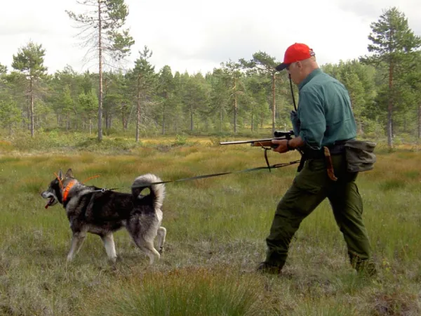 Baggen Softbelt Vildmark juoksuvyö| Koiranomistajan Tarvikkeet