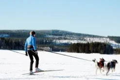Baggen Juoksu- Ja Pyöräilytaluttimet^vetotalutin, musta