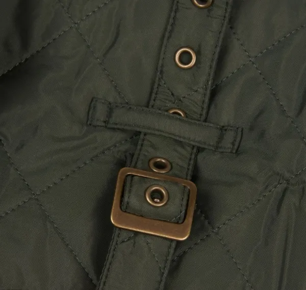 Barbour Talvitakit^Quilted Dog Coat koiran takki, vihreä