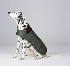 Barbour Talvitakit^Quilted Dog Coat koiran takki, vihreä