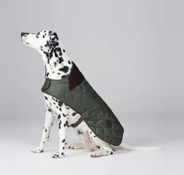 Barbour Talvitakit^Quilted Dog Coat koiran takki, vihreä