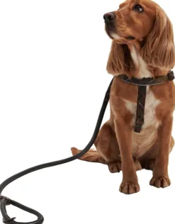 Barbour Snap Lead koiran talutushihna, Dark Brown| Taluttimet