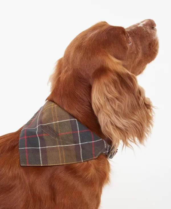 Barbour Kaulapannat^Tartan koiran kaulahuivi, Classic Tartan