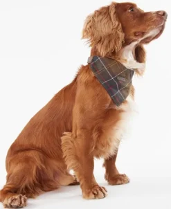 Barbour Kaulapannat^Tartan koiran kaulahuivi, Classic Tartan