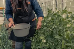 Barebones grilliessu, musta| Ruoanlaitto