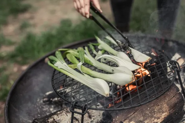 Barebones Ruoanlaitto^grilliritilä, pyöreä