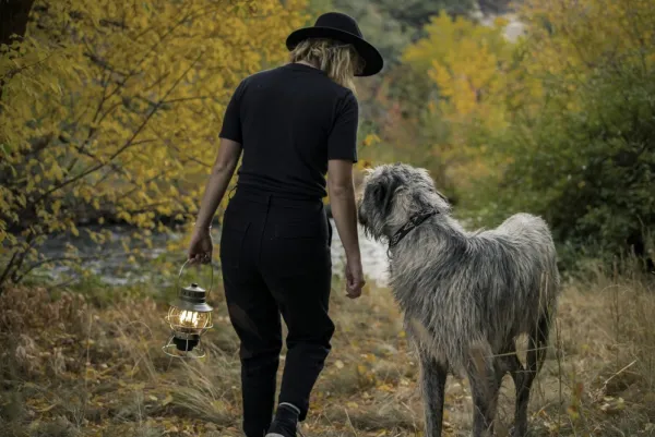 Barebones Muut Valaisimet^Railroad Lantern LED-lyhty, oliivinvihreä