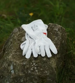 Bast Sauna Teltat/Telttatarvikkeet^Björk Plus Bastutält & Kamin 8-10 p