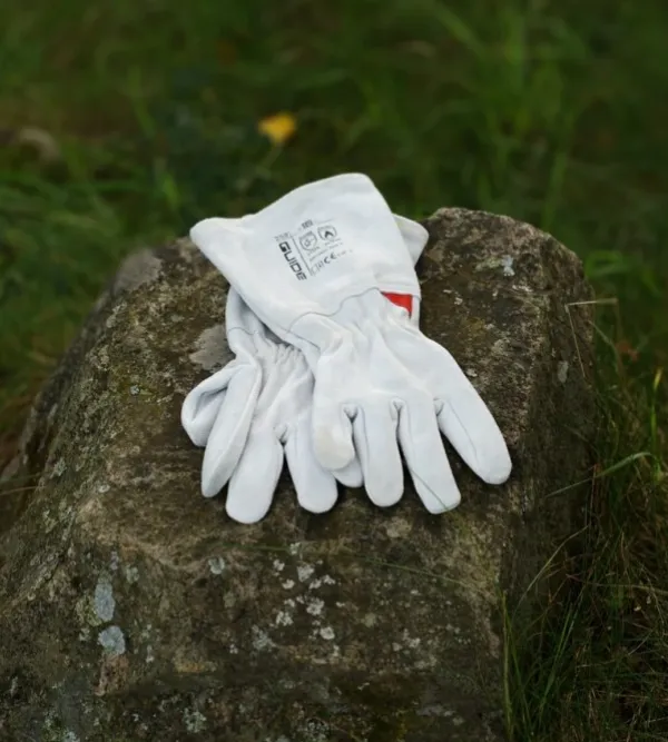 Bast Sauna Teltat/Telttatarvikkeet^Björk Plus Bastutält & Kamin 8-10 p