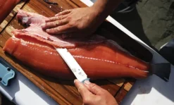 Benchmade 18010 Fishcrafter veitsi| Kalapuukot Ja -veitset