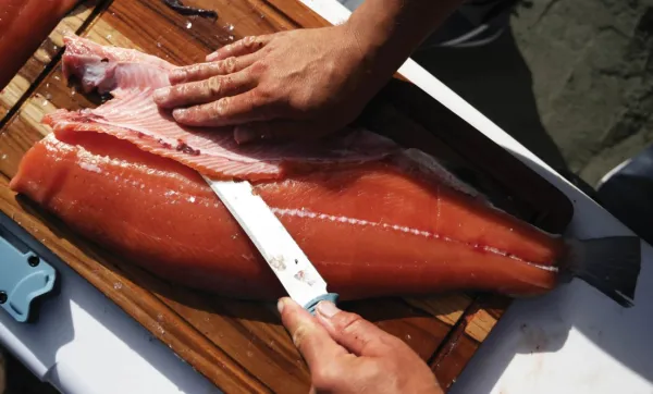 Benchmade 18010 Fishcrafter veitsi| Kalapuukot Ja -veitset