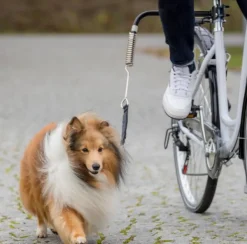 Trixie Biker Set -pyöräilytalutin| Juoksu- Ja Pyöräilytaluttimet