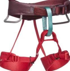 Black Diamond Kiipeilyvarusteet^Kids Momentum Harness Wild Rose