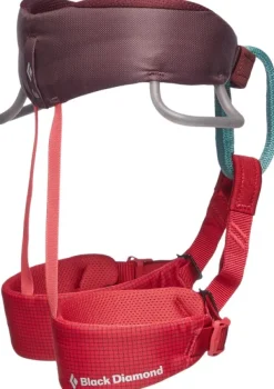Black Diamond Kiipeilyvarusteet^Kids Momentum Harness Wild Rose
