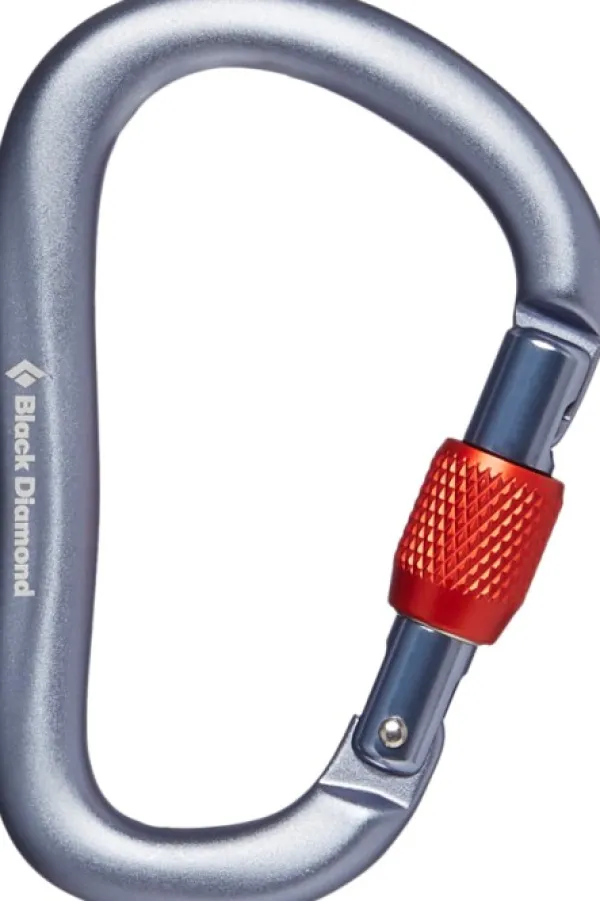 Black Diamond Kiipeilyvarusteet^Rocklock Screwgate Carabiner lukittava karbiini, harmaa