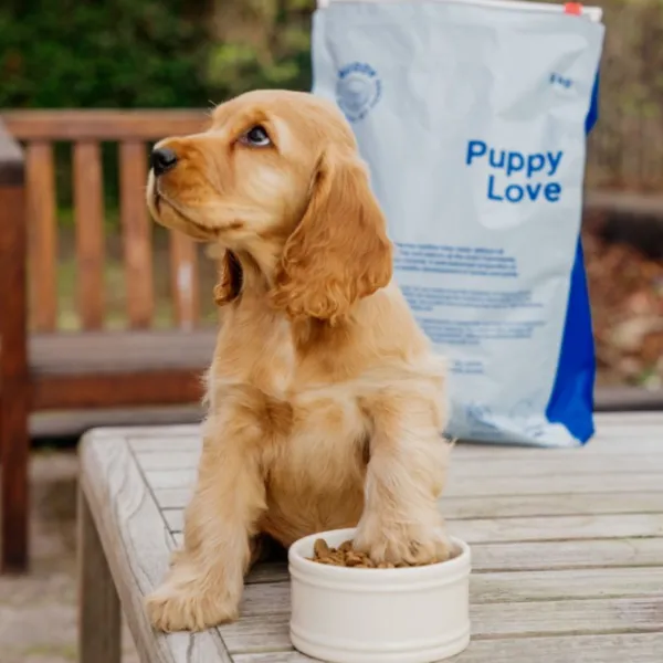 Buddy Puppy Love pentujen kuivaruoka, 2 kg| Koiran Kuivaruoka