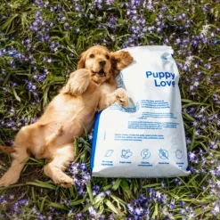 Buddy Puppy Love pentujen kuivaruoka, 5 kg| Koiran Kuivaruoka