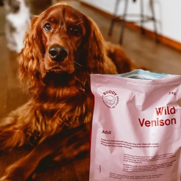 Buddy Wild Venison koiranruoka, 2 kg| Koiran Kuivaruoka