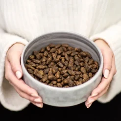 Buddy Wild Venison koiranruoka, 2 kg| Koiran Kuivaruoka