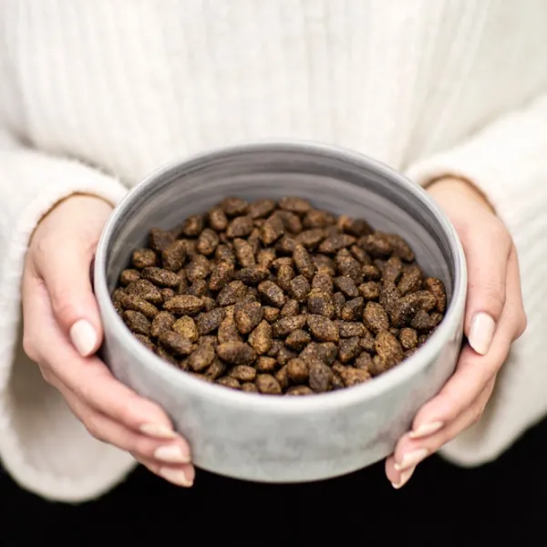 Buddy Koiran Kuivaruoka^ Wild Venison kuivaruoka, 12 kg